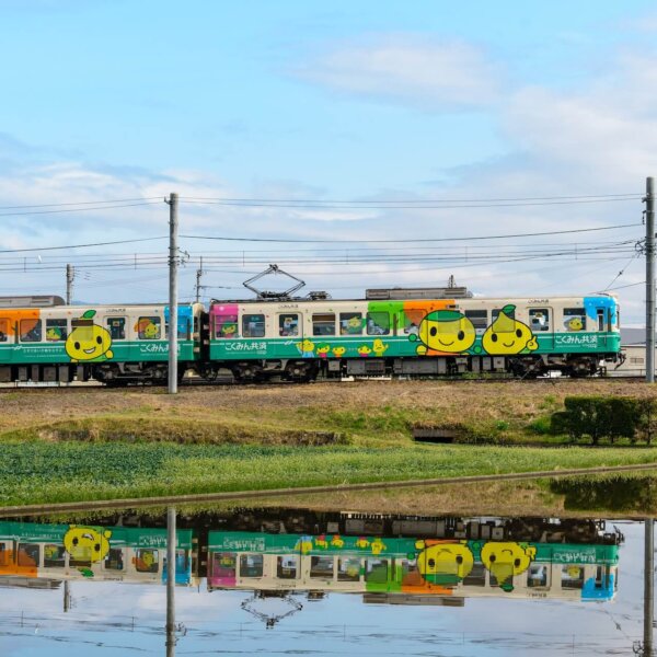 colorful Japanese train riding across grassy hill