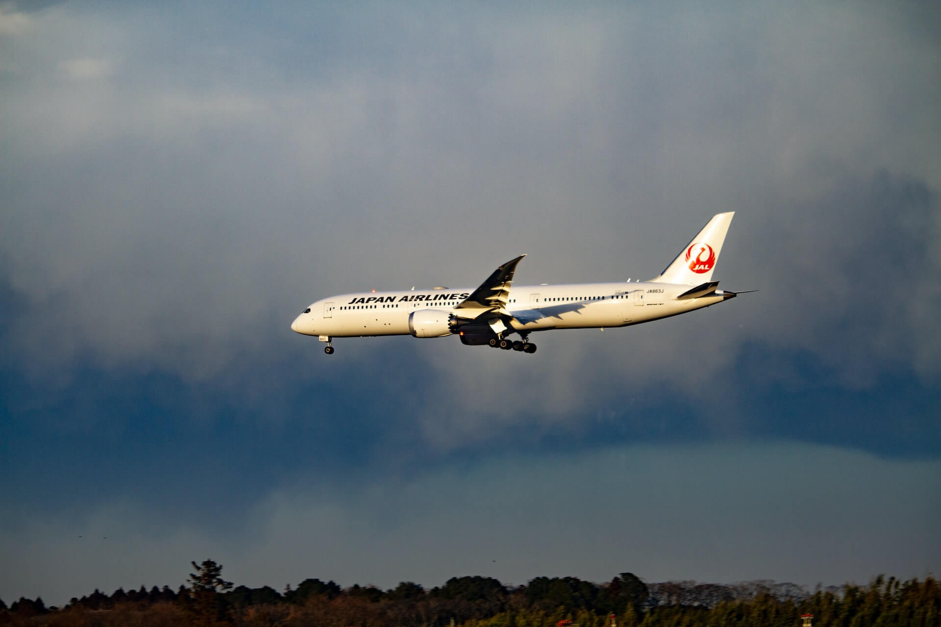 Read more about the article Japan Travel Restrictions: The Ultimate Guide (December Update)