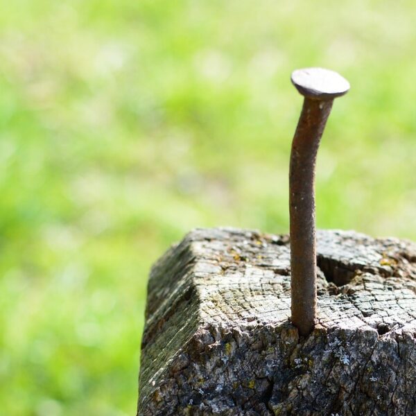 a single bent nail sticking out of a wooden post