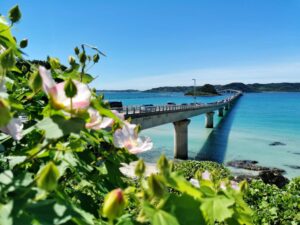 Read more about the article Breaking Down the Cost of Living in Okinawa