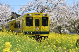 Read more about the article Complete Guide to Train Travel in Japan