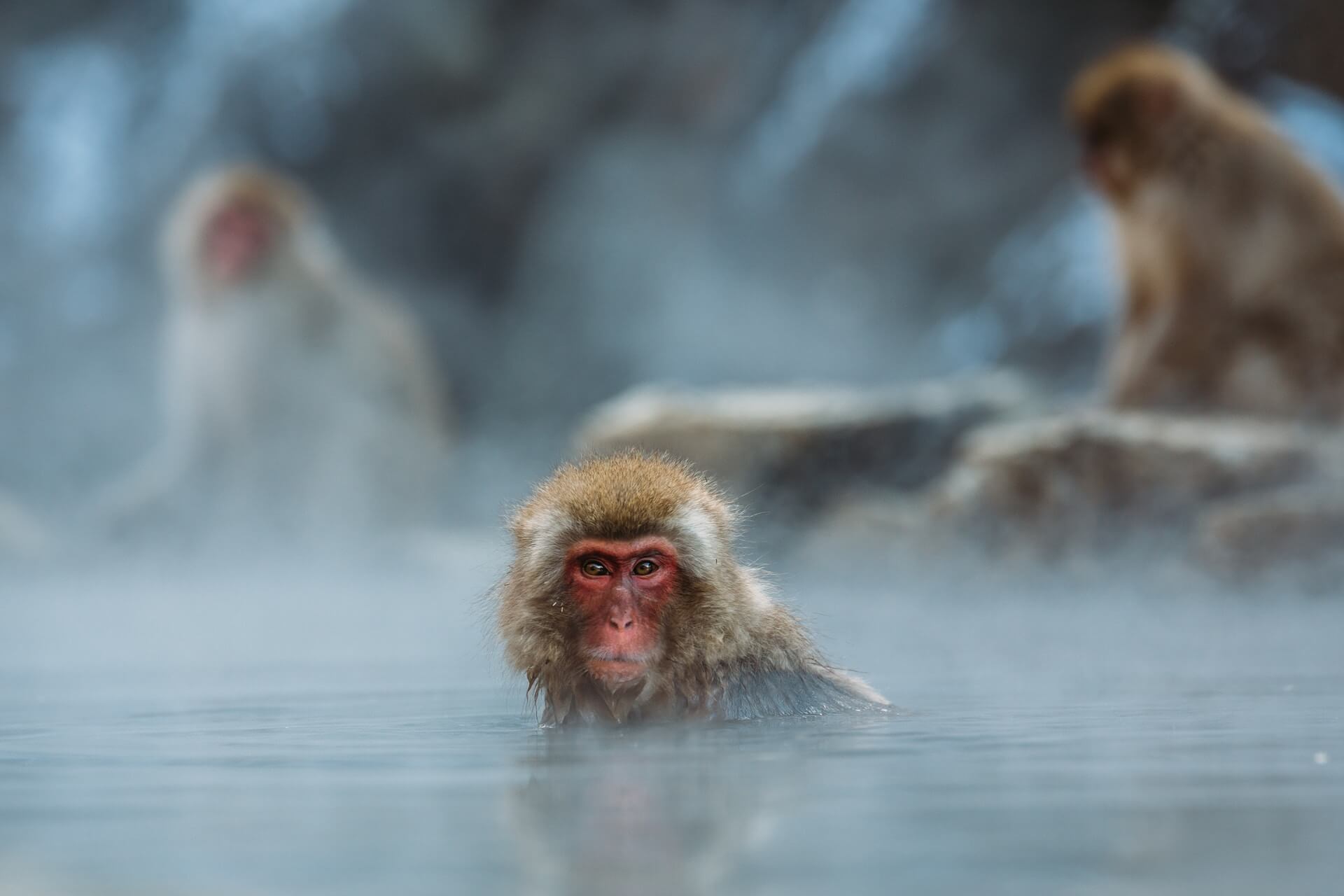 Read more about the article Relax and Rejuvenate in Nagano’s Top 7 Onsen