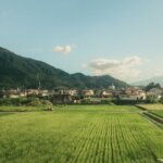 Rural Japan with rice fields, mountains, and several 2-story buildings