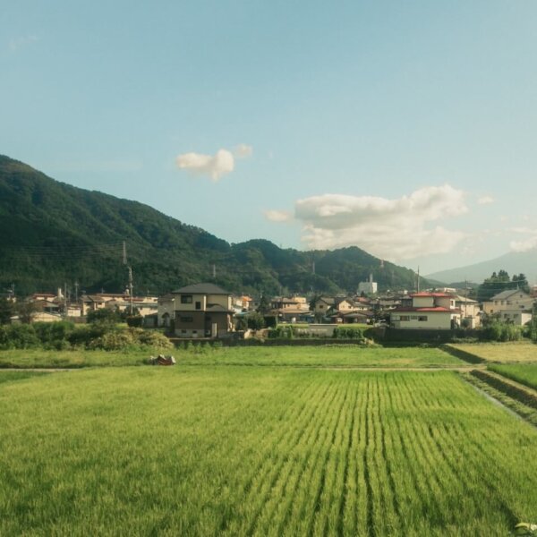 Cost of Living in Rural Japan – The Countryside Breakdown