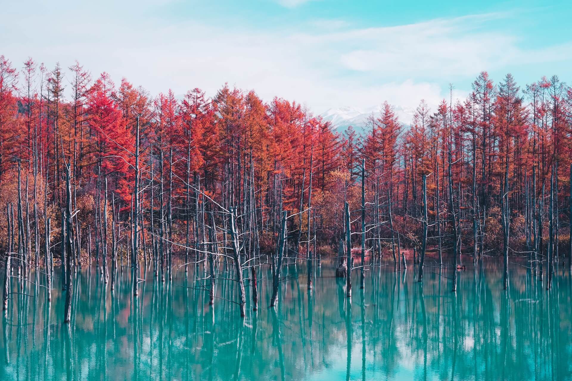 Read more about the article Hokkaido’s Top 7 All-Natural Onsen