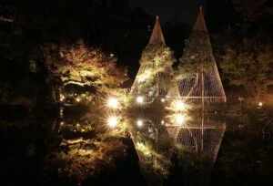 Read more about the article The Top 7 Kyoto Illumination Events in 2023-24