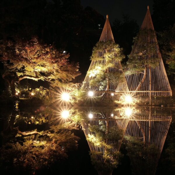 The Top 7 Kyoto Illumination Events in 2023-24